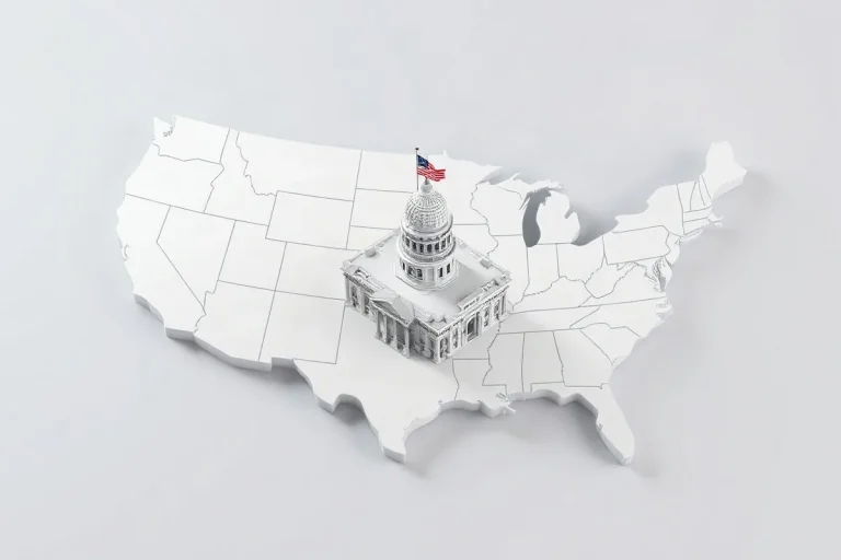 Hero illustration for the article “How State Rights Shape United States Politics”